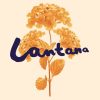 Lantana