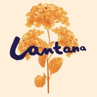 Lantana